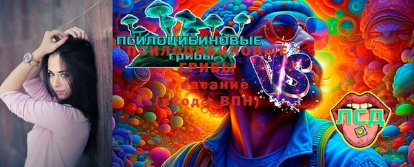 соль ск Горно-Алтайск