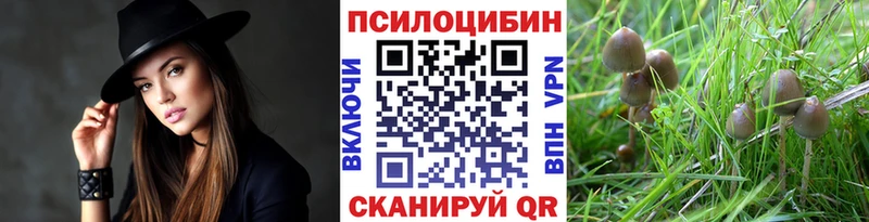 сайты даркнета клад  Бирюсинск  Псилоцибиновые грибы Magic Shrooms  даркнет сайт 